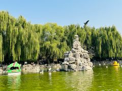 -团结湖公园