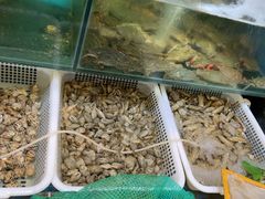 -福建美食城(老君堂店)