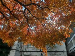 -苏州市姑苏区宝仁幼儿园