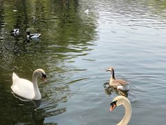 -石家庄市动物园