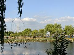 -无锡蠡湖国家湿地公园-蠡园