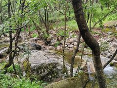 -牛背梁国家森林公园