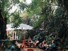 -Fern Forest Cafe