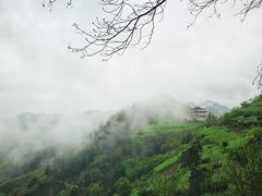 -石潭村