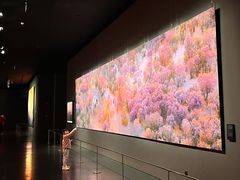 -罗红摄影艺术馆