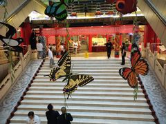 -全聚德(长江路店)