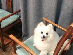 -伽利略剧本探案馆(国贸店)