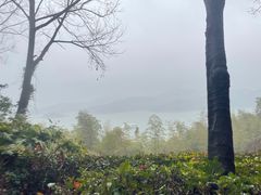 -天目湖涵田半山温泉