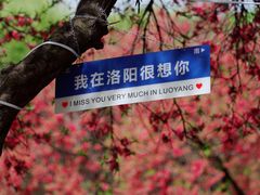 -洛阳市隋唐城遗址植物园
