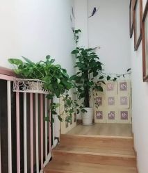 -雷氏普爱产后修护中心(弘阳店)