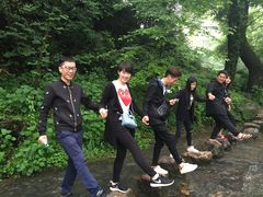 -枸杞岛