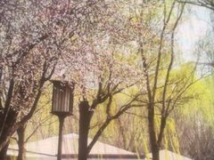 -唐城墙遗址公园