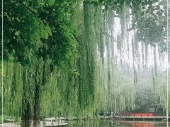 -玲珑塔公园