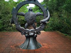 -广东惠东海龟国家级自然保护区