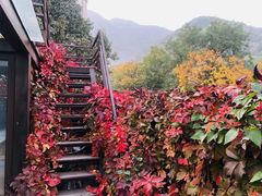 -不止轰趴独栋别墅户外烧烤(颐西庄园店)