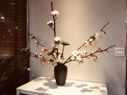 -维秘形体医美 M·VVON医生集团