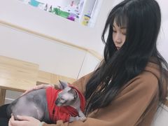 -李小姐の猫咖啡馆(五角场店)