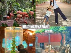 -长鹿旅游休博园