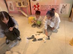 -猫咪博物馆(顶澳仔猫街店)