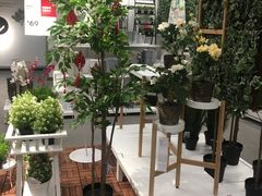 -宜家家居(哈尔滨商场店)