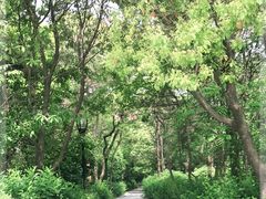 -宝界山林公园