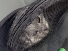 -艾贝尔宠物医院·24H转诊中心·肿瘤猫专科(江宁双龙店)