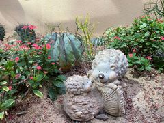 -正佳雨林生态植物园