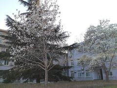 -山东师范大学(千佛山校区)