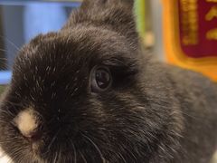 -雨林宠物医院 非犬猫异宠专科