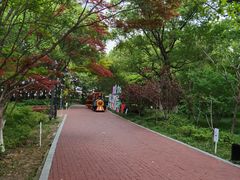 -金鸡湖桃花岛