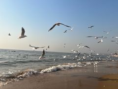 -老虎石海上公园