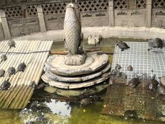 -西安大兴善寺