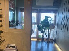 -施奈儿.洗头頭療.按摩SPA.采耳(上梅林店)