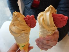 -麦当劳(抚顺东一路店)