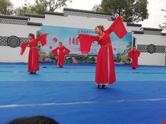 -武汉紫薇都市田园