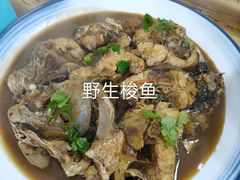 -大鹿岛