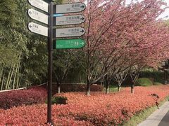 -凤城河风景区