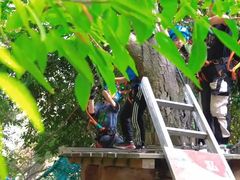 -芦仙山景区-飞越丛林探险乐园