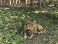 -西霞口神雕山野生动物世界