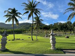 -三亚南山文化旅游区