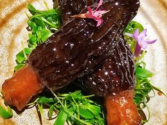 -淮食·雅宴(北大博雅国际酒店)