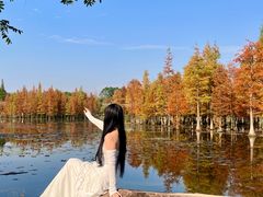 -白鹭湾湿地公园