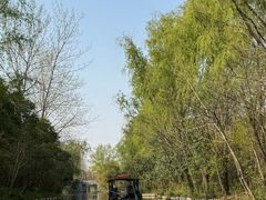 -溱湖国家湿地公园