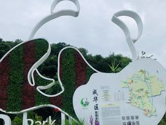 景点-成都大熊猫繁育研究基地