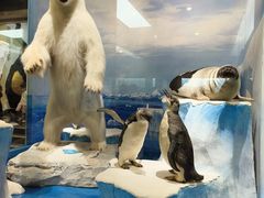 -国家自然博物馆