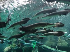 -波塞冬旅游度假区