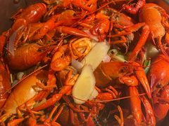 高压锅蒸大虾-蚝翅·海鲜粥·烧烤·宁夏滩羊季(玉米楼店)