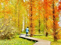 -国家植物园南园