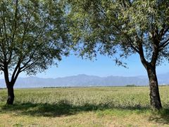 -野鸭湖国家湿地公园