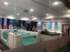 -亲亲袋鼠托育早教·思维专注力·棕熊英语(鼓楼恒力城店)